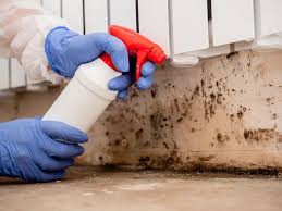 Conyngham, PA Mold Inspection Company